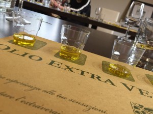 olive oil proneti frantoio chianti san polo olio d'oliva