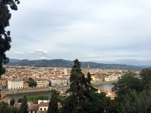 view vista skyline panorama Firenze Florence